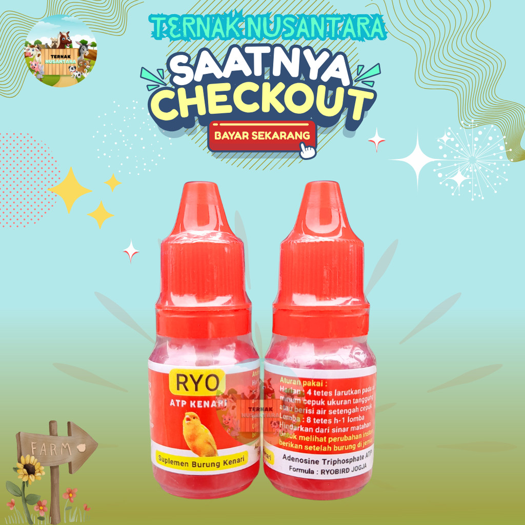 RYO ATP KENARI 10 ML - Suplemen ATP Vitamin Burung Kenari Energi Lebih Maksimal.