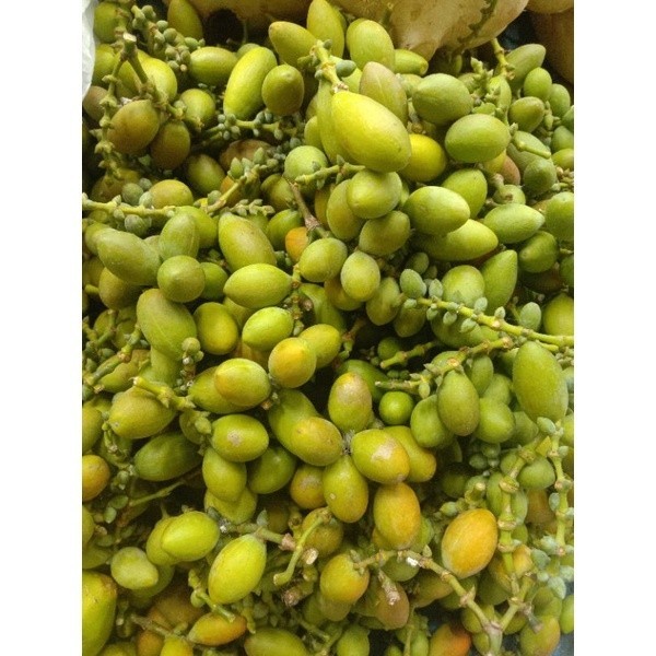 

TERMURAH Melinjo Segar 250gr - 1kg / Belinjo / Sayur Melinjo | Sayur online - BEST Fresh Food