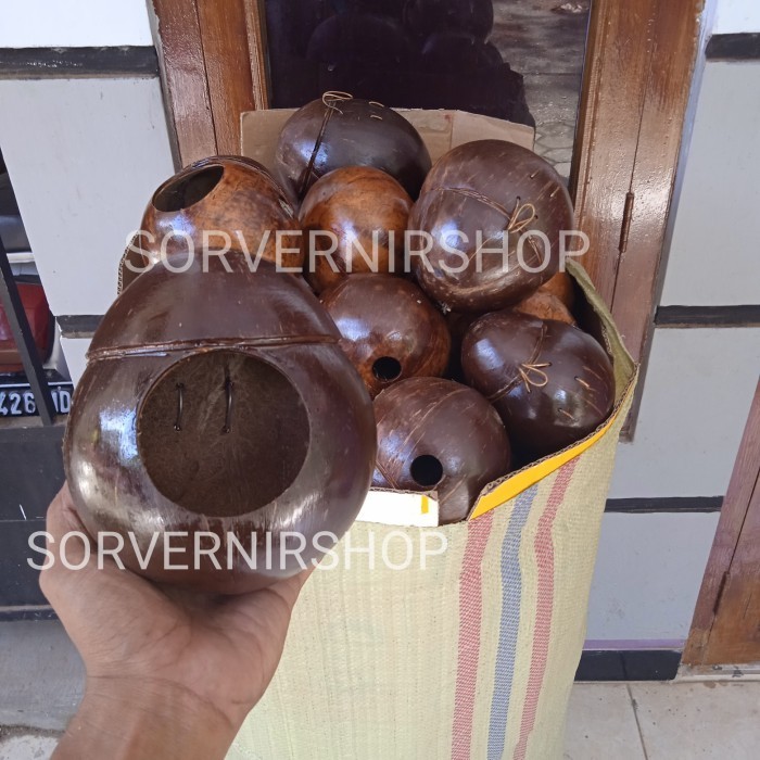 Glodok batok kelapa sarang burung lovebird kenari