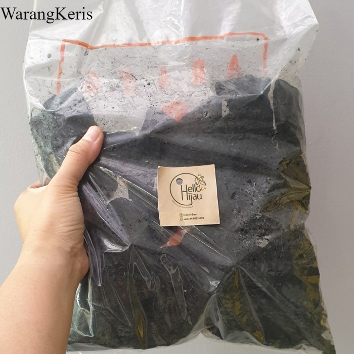 

Arang Kayu Media Tanam Pupuk Organik 1 Pack murah