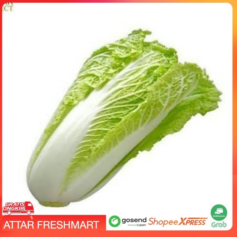 

KIRIM INSTANT [ Sawi Putih Segar ]