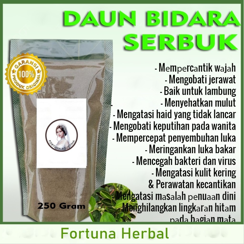

Daun Bidara Serbuk Herbal, Mengatasi keputihan pada wanita, datang bulan yang tidak lancar