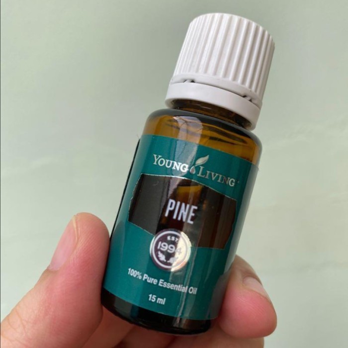 PROMO essentials essential oil pine 15ml young oil living