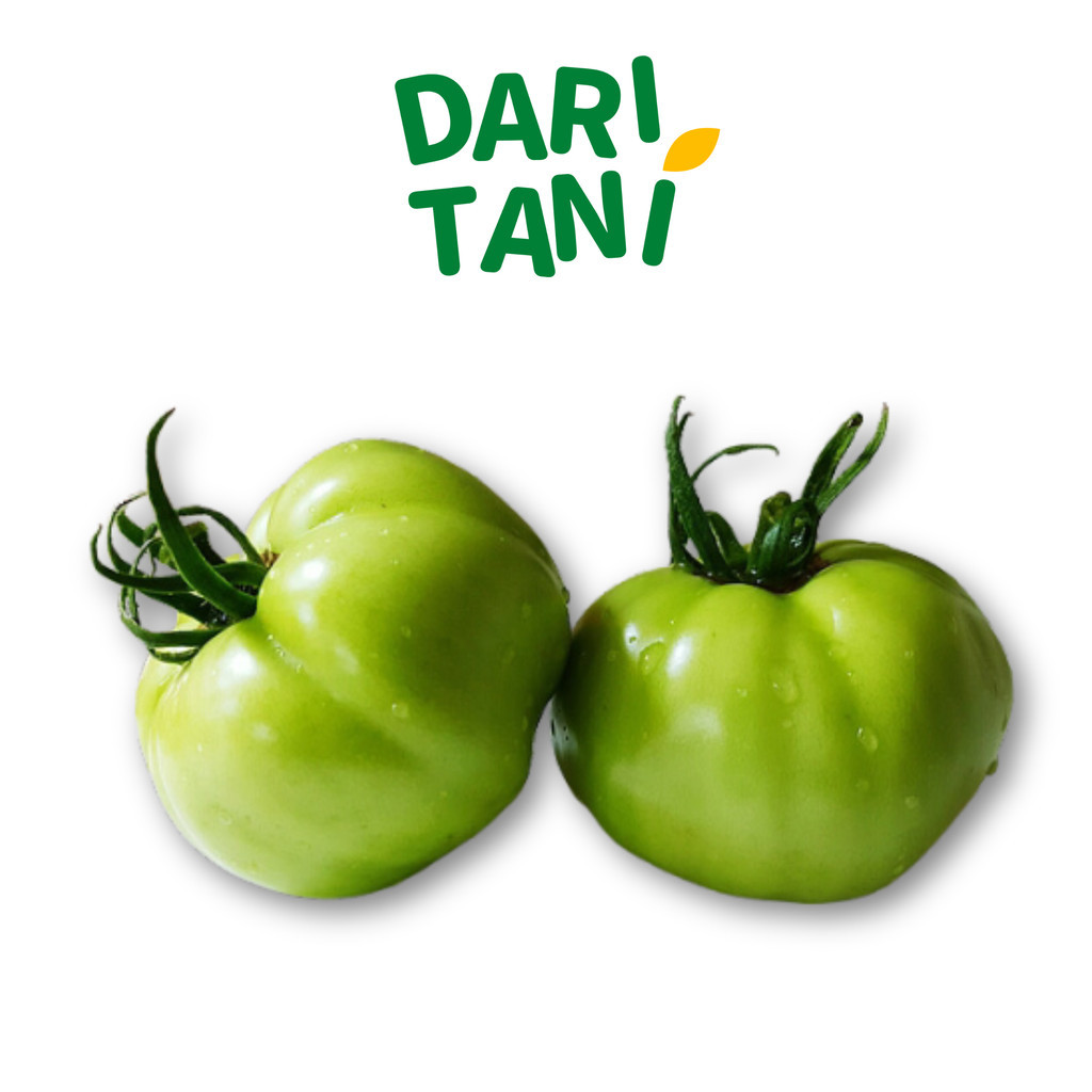 

DariTani Tomat Hijau 500 250gr