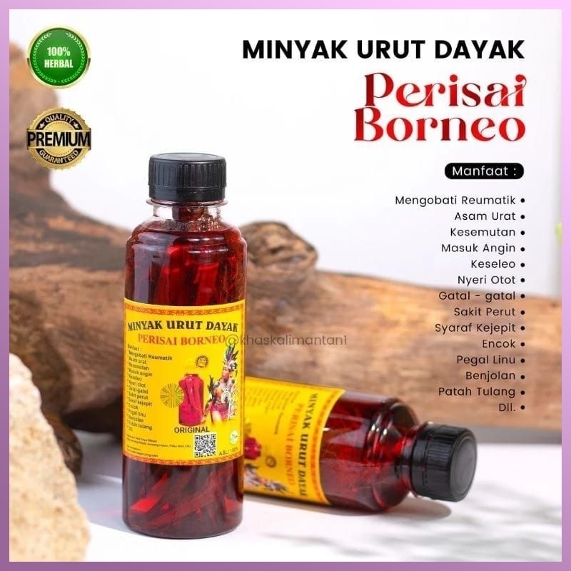 Minyak Urut Dayak Asli Kalimantan