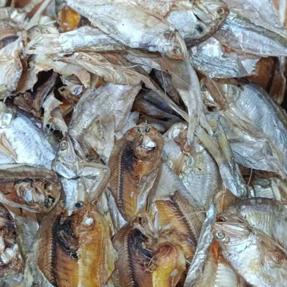 

Ikan Asin Krisi / Kerisi