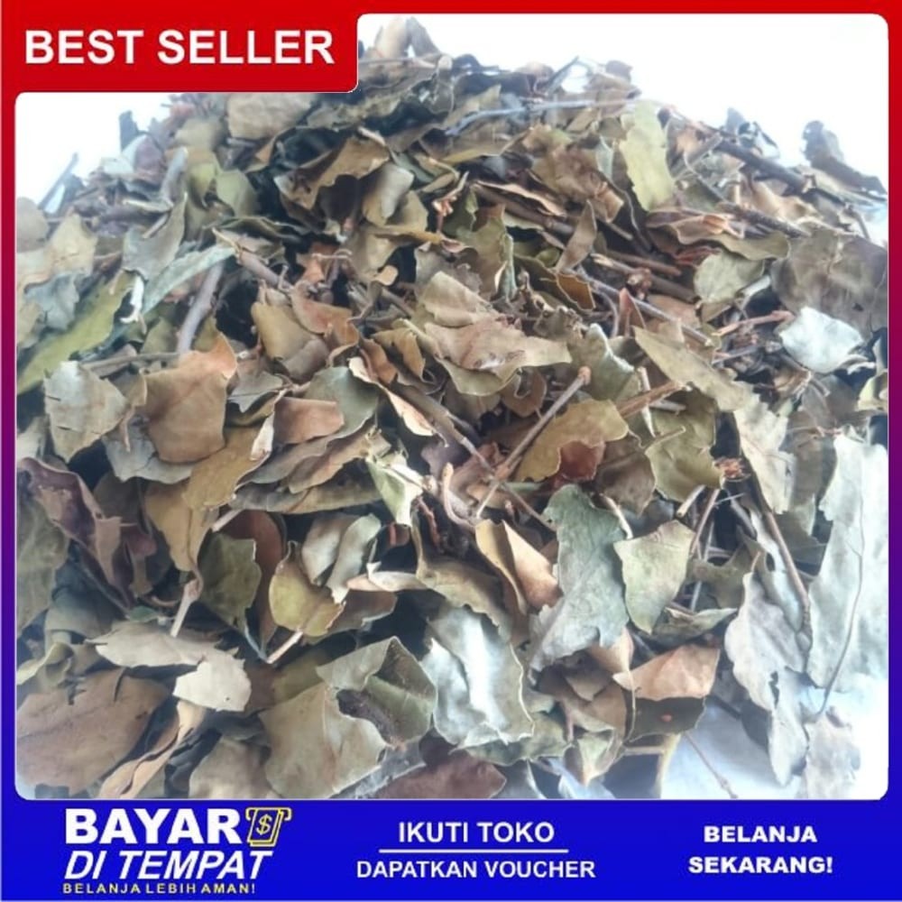 

OMH Terlaris Murah benalu teh 1kg premium
