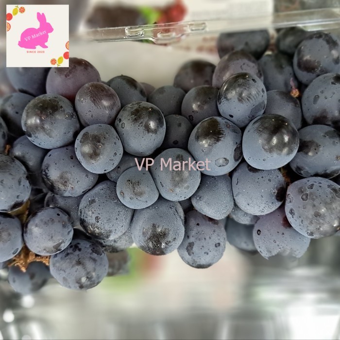 

Anggur Black Seedless Import 500 Grm