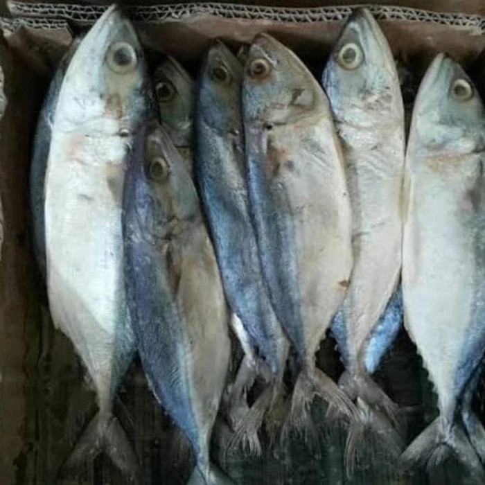 

Ikan Asin Peda oleh oleh pangandaran
