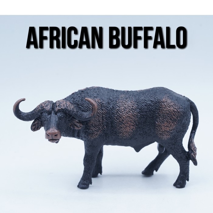 KORI African Buffalo Syncerus Caffer Kerbau Afrika Banteng Mainan Figure Binatang Miniature Hewan An