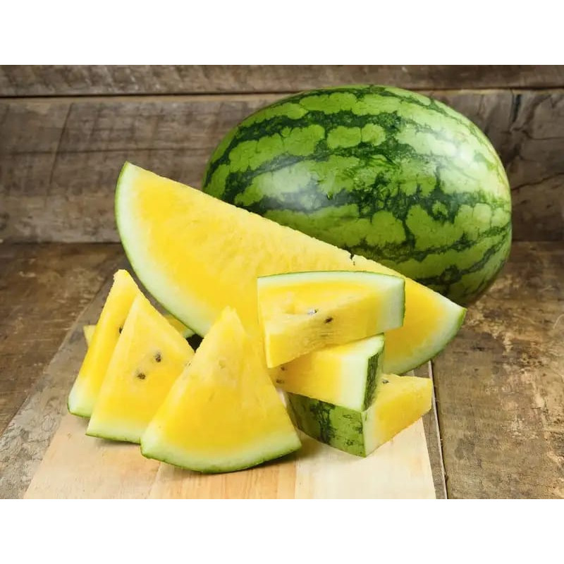 

Semangka Kuning 2-3 Kg - BEST Fresh Food