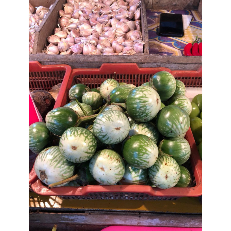 

TERONG LALAPAN TERONG IJO BULAT 500G
