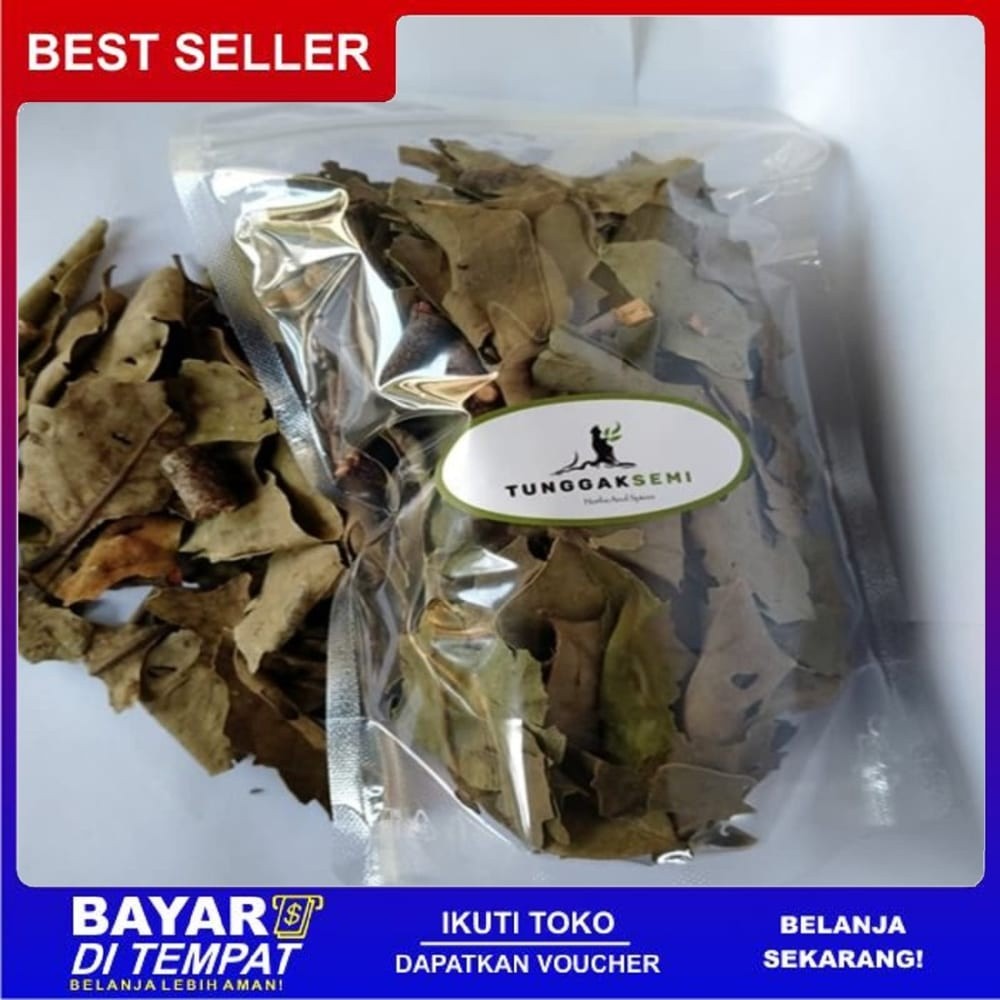 

OMH Terlaris Murah 50 gram benalu jeruk kering siap konsumsi