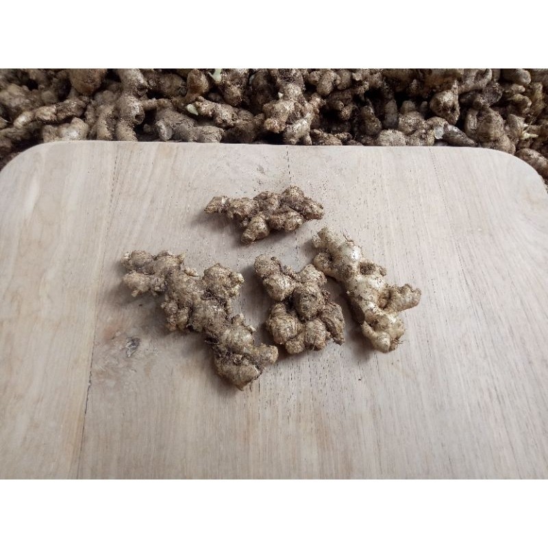Jahe emprit | JAHE EMPRIT SUPER | jahe emprit 500gr Kualitas Terbaik