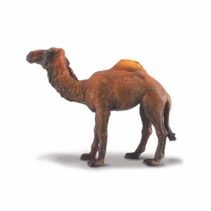 Collecta Figure Dromedary Camel