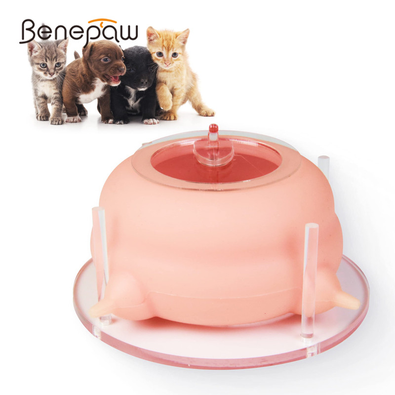 Benepaw Newborn Pet Milk Feeder For Multiple Puppies Kittens 4 Nipples Puppy Milk Feeding Bowl With 