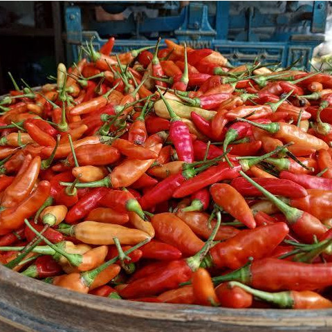 

Cabe Rawit Merah Segar 250 gram - bird's eye chili pepper