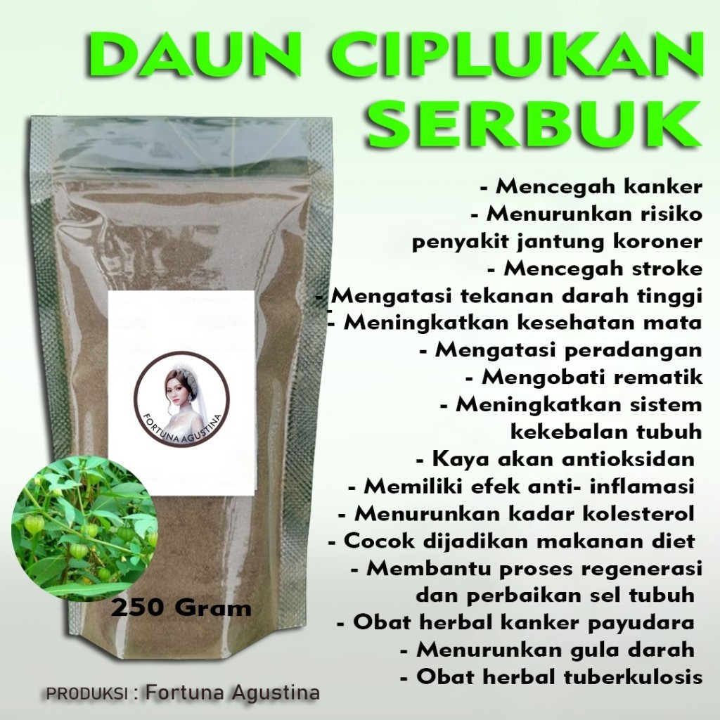 

Daun Ciplukan Serbuk Herbal Kesehatan
