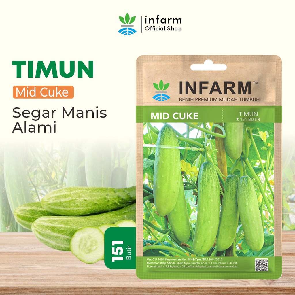 BENIH JAYA - Benih Buah Mentimun Lalap, Bibit Buah Timun Lalap Segar Benih Buah Buahan Timun Unggul 