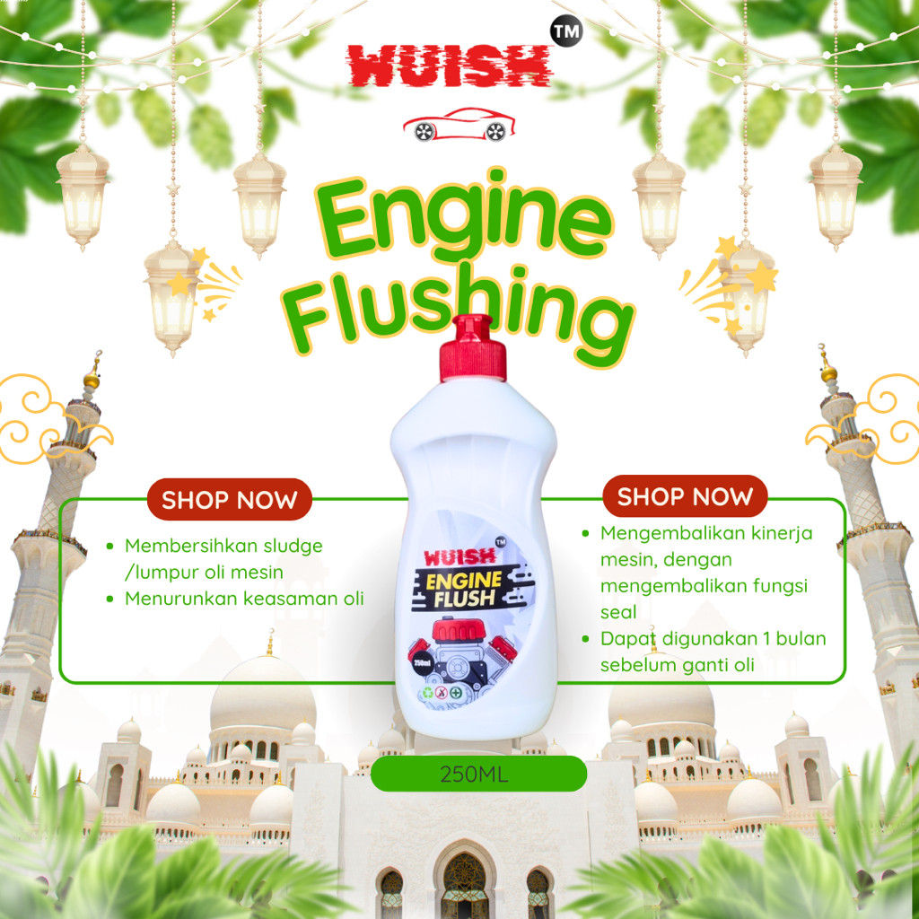 Wuish Engine Flushing 250ml
