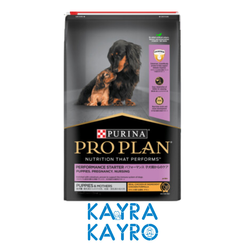 Pro Plan Performance Starter Puppy & Mother Dog 12 kg - Makanan Anak & Induk Anjing - ProPlan