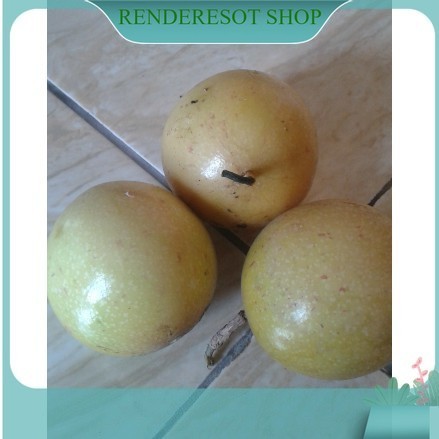 

buah markisa kuning 500 gram Kualitas Terbaik