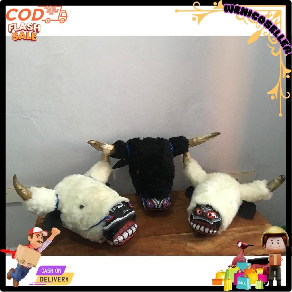 Banteng dewasa full bulu/bantengan mberot/Tanduk asli sapi wnc