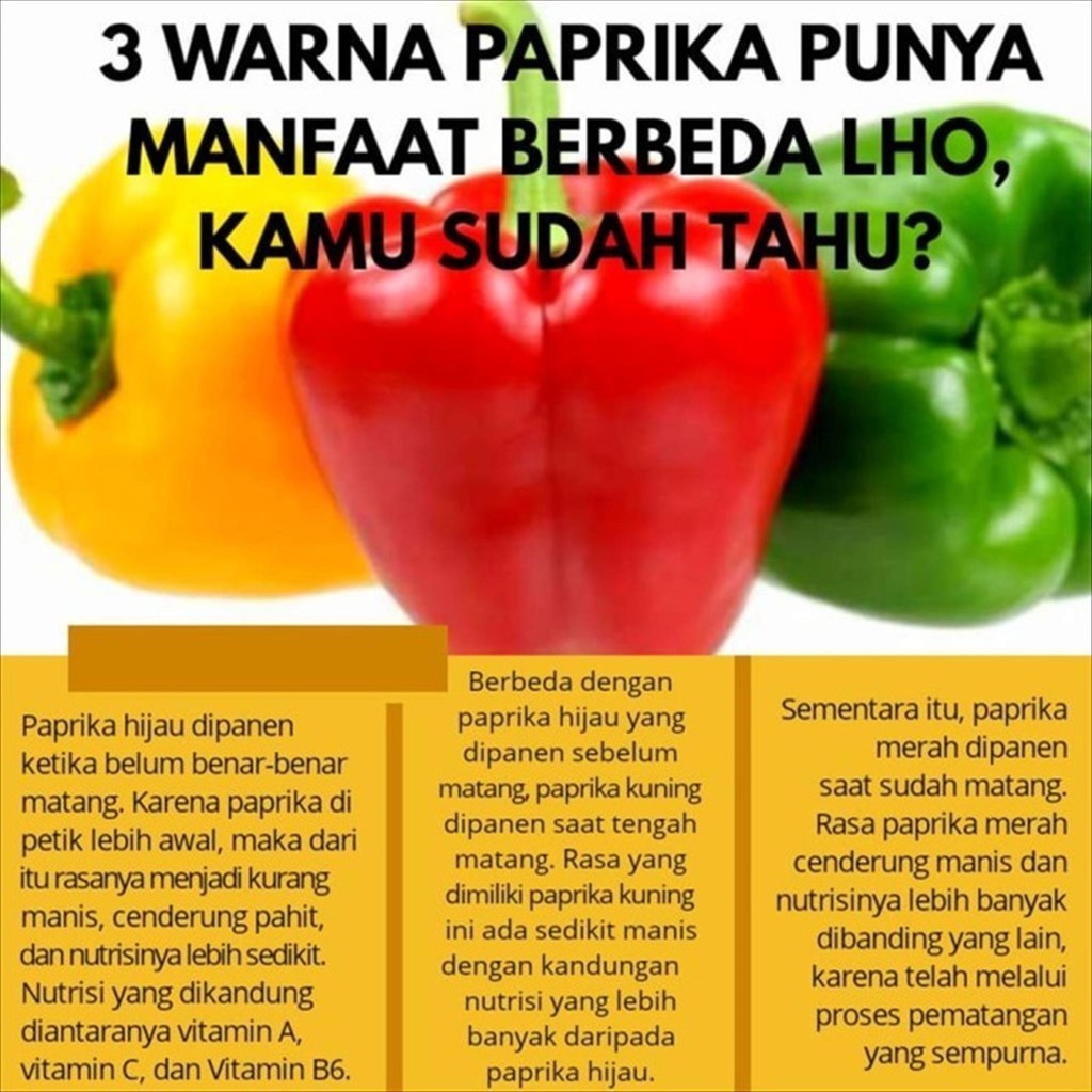 

RB Paprika Bubuk India / Capsicum Powder / Bell Pepper Powder 1 KG Import