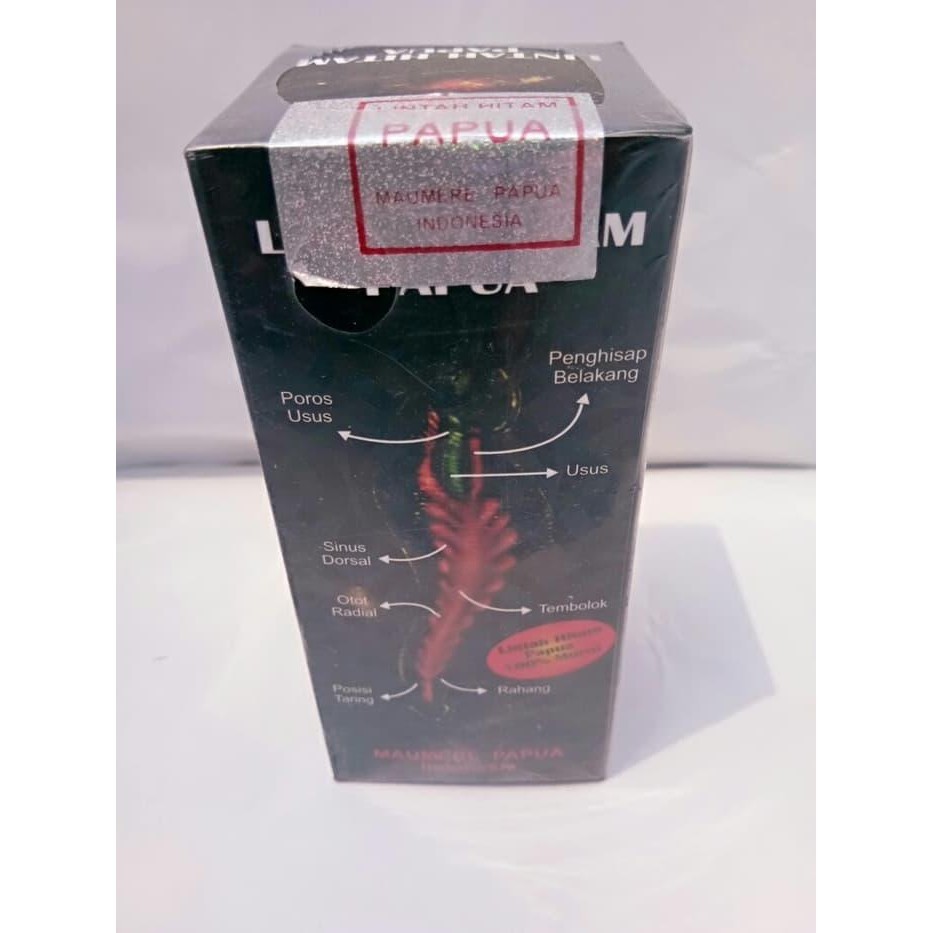 

TERLARIS minyak lintah hitam asli papua