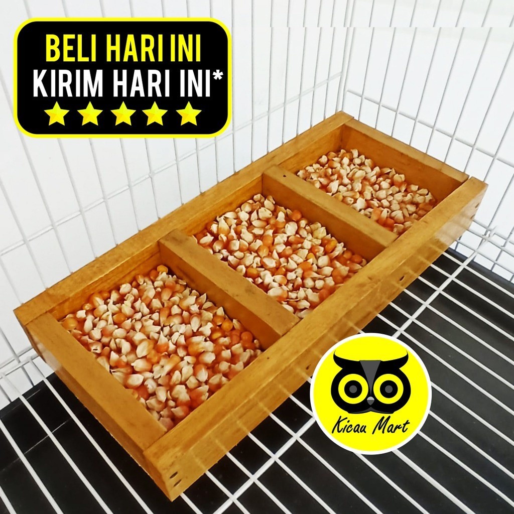 WADAH PAKAN BURUNG MERPATI TEMPAT MAKAN MINUM BURUNG MERPATI BALAP KOTAK KAYU 3 LUBANG CEPUK WADAH M