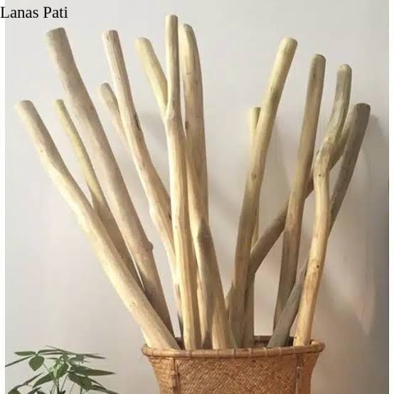 

Ranting Kayu Jati Asli Perhutani Hiasan Dekor Prakarya/100 Cm /Batang XD10