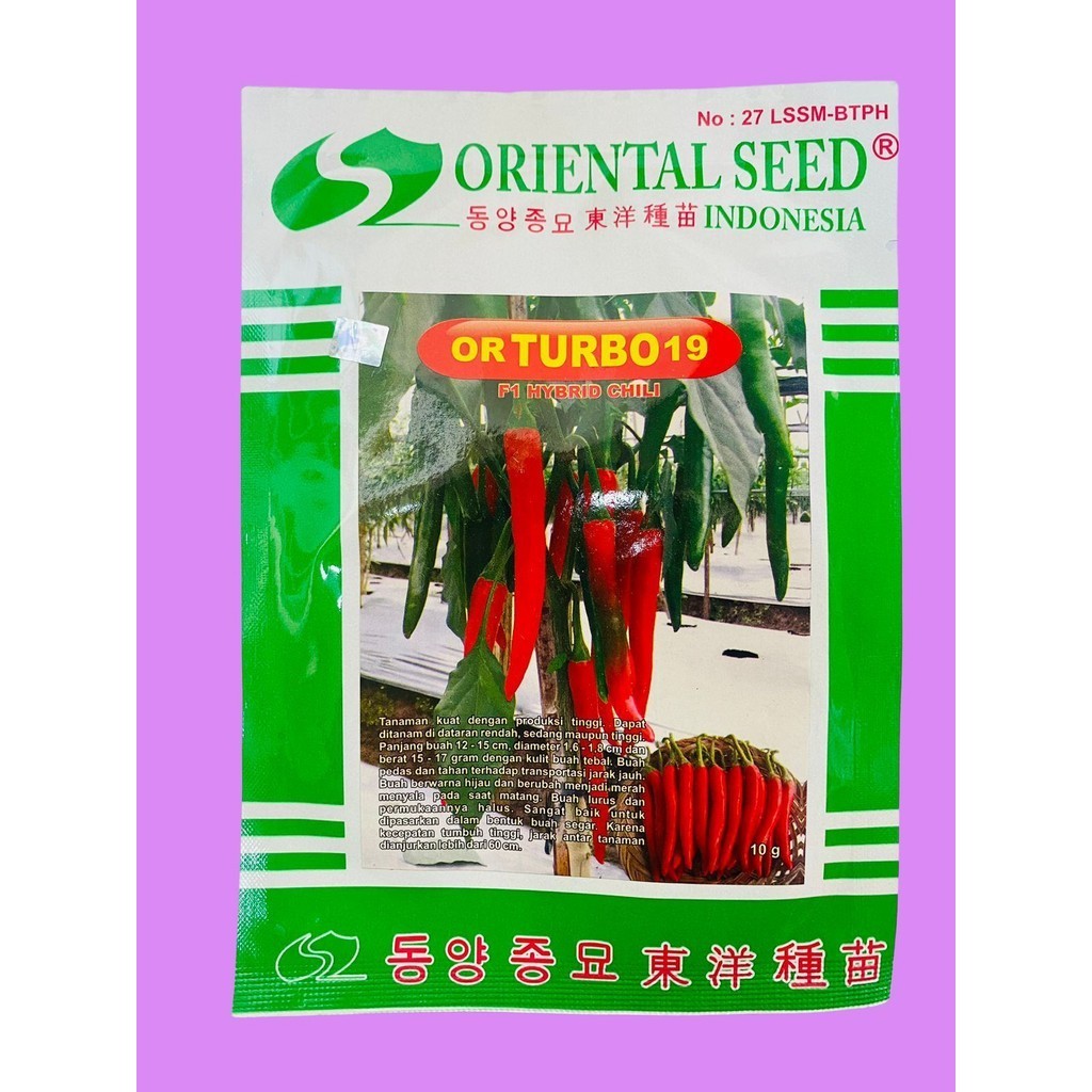 Benih cabai besar hibrida f1 or TURBO 19 isi 10gr dari ORIENTAL SEED