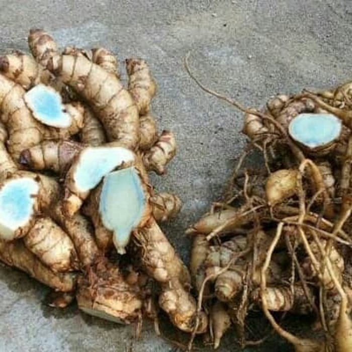 

COD Terlaris temu hitam 500 grm Terlaris mega store ready