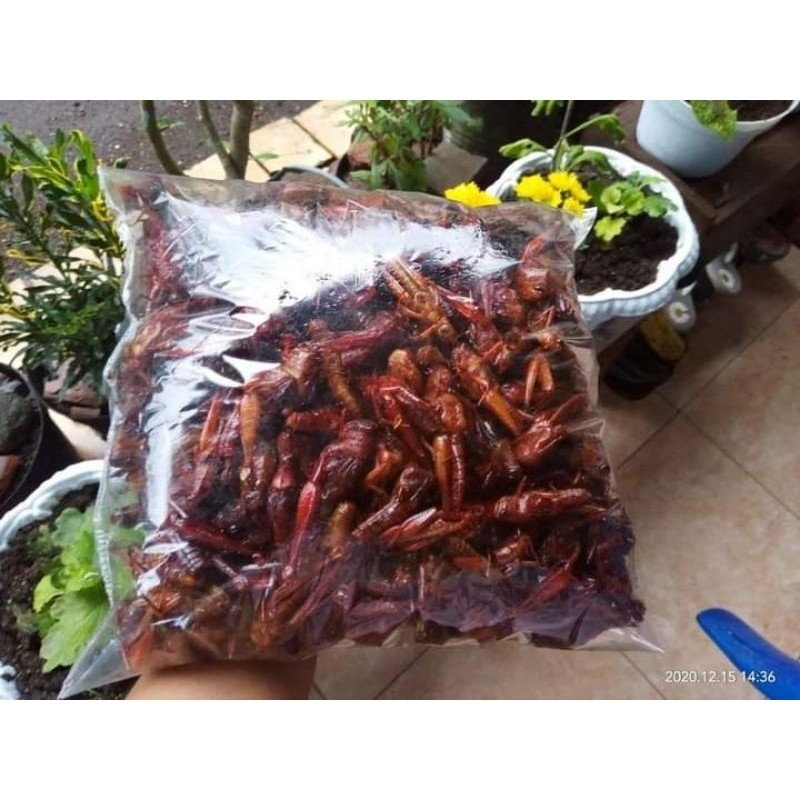 

BELALANG KAYU KEMASAN 1/2Kg