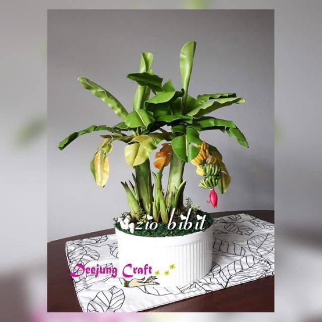 2 Biji Bibit Benih Pisang Langka Mini Hias Bonsai