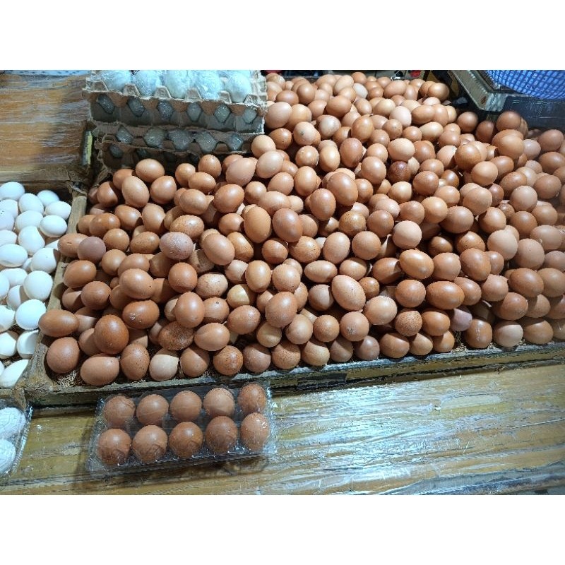 

Telur ayam 600-700gram /pack/ Jakarta barat