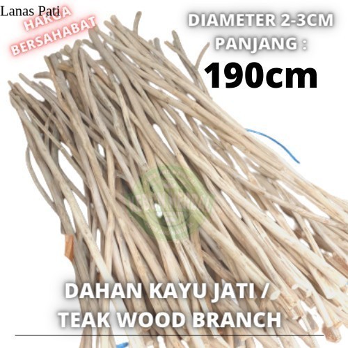 

Ranting jati halus Macrame teak wood Branch 190Cm dahan ranting kayu jati halus - NATURAL XD5