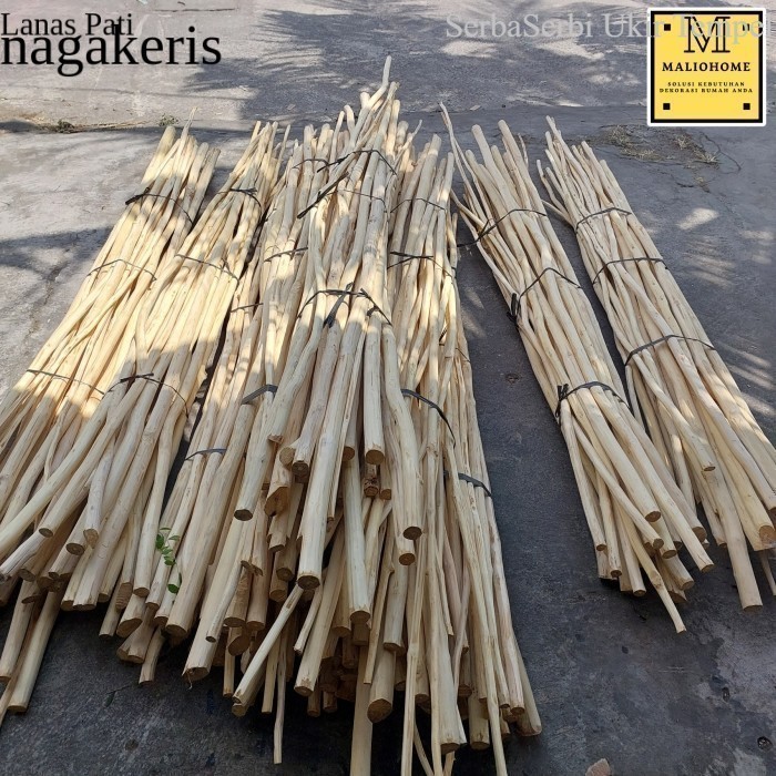 

Termurah Ranting Kayu Jati Bahan Dekorasi By Maliohome 300cm FNX011 XD10