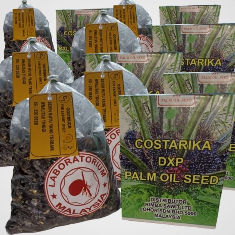 bibit sawit costarika