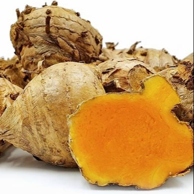 

HAFIKA TEMULAWAK Basah Segar 250 gram kunyit temu kunir fresh siap ambil ke kebun