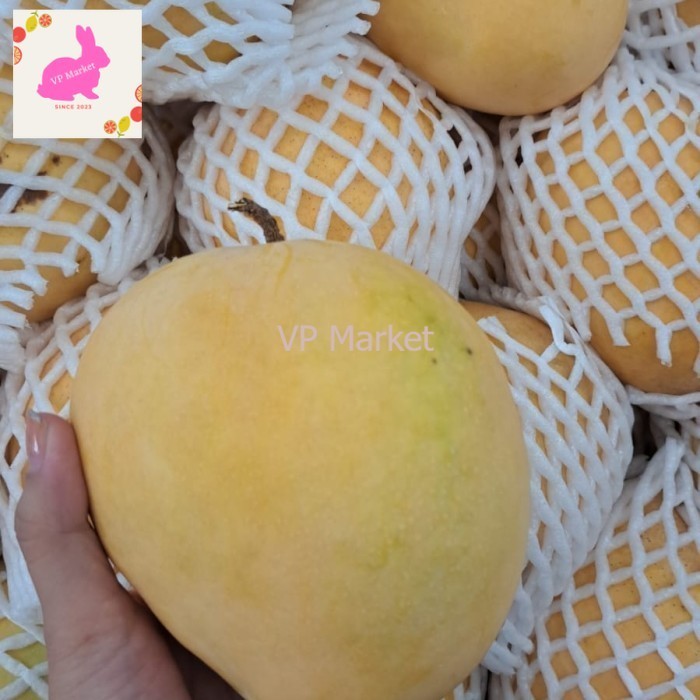 

Mangga Thailand Jumbo Super 1 Kg