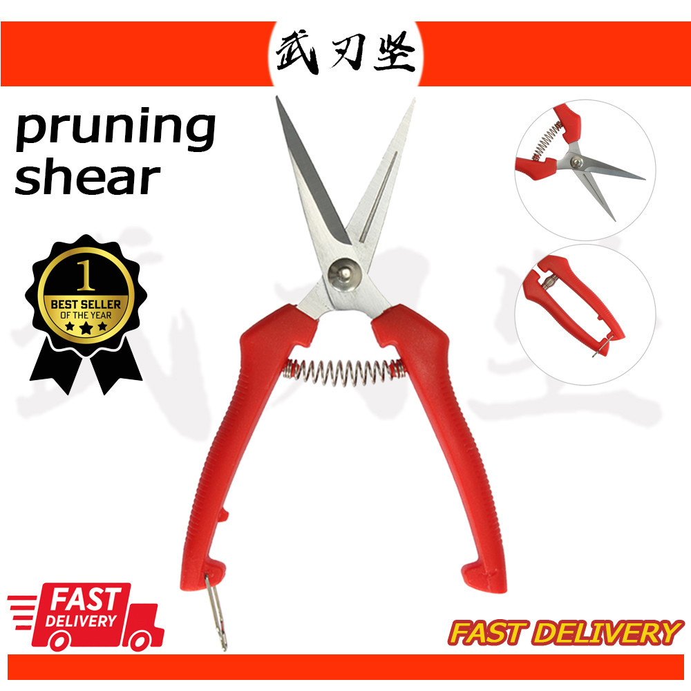 GUNTING BONSAI PRUNING DAUN Sagawata gunting pruning RANTING tanaman bonsai