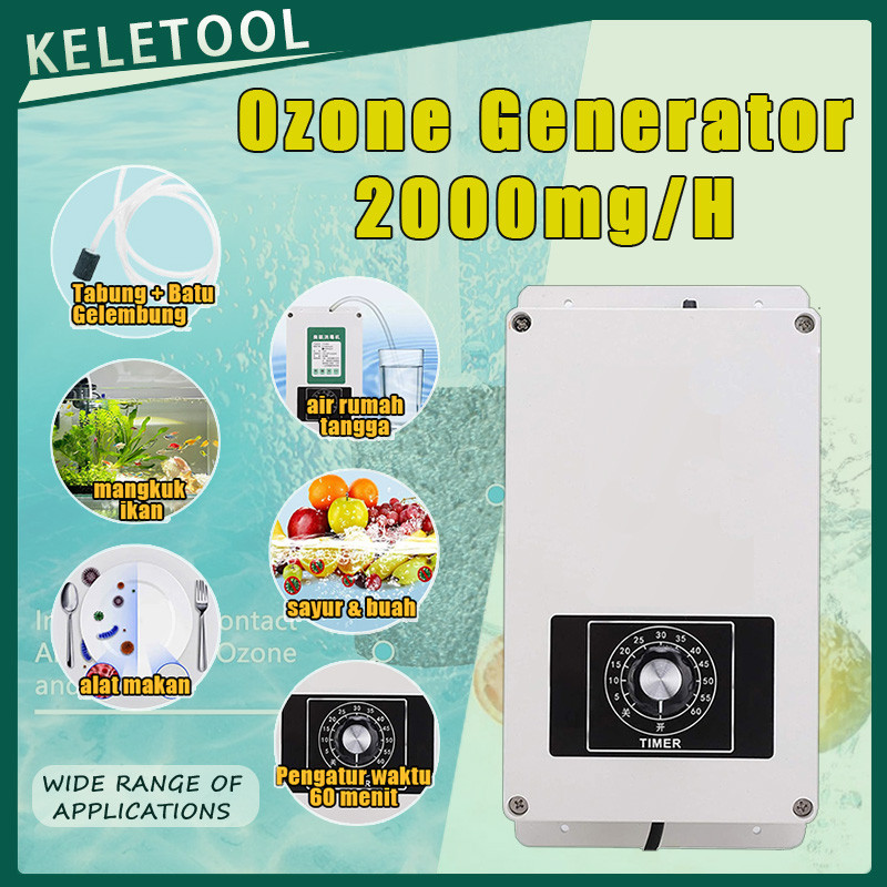 Generator Ozon 2000mg/H Pengatur Waktu Plunge Dingin Generator Ozon Air Tetap Dingin Plunge Mandi Es