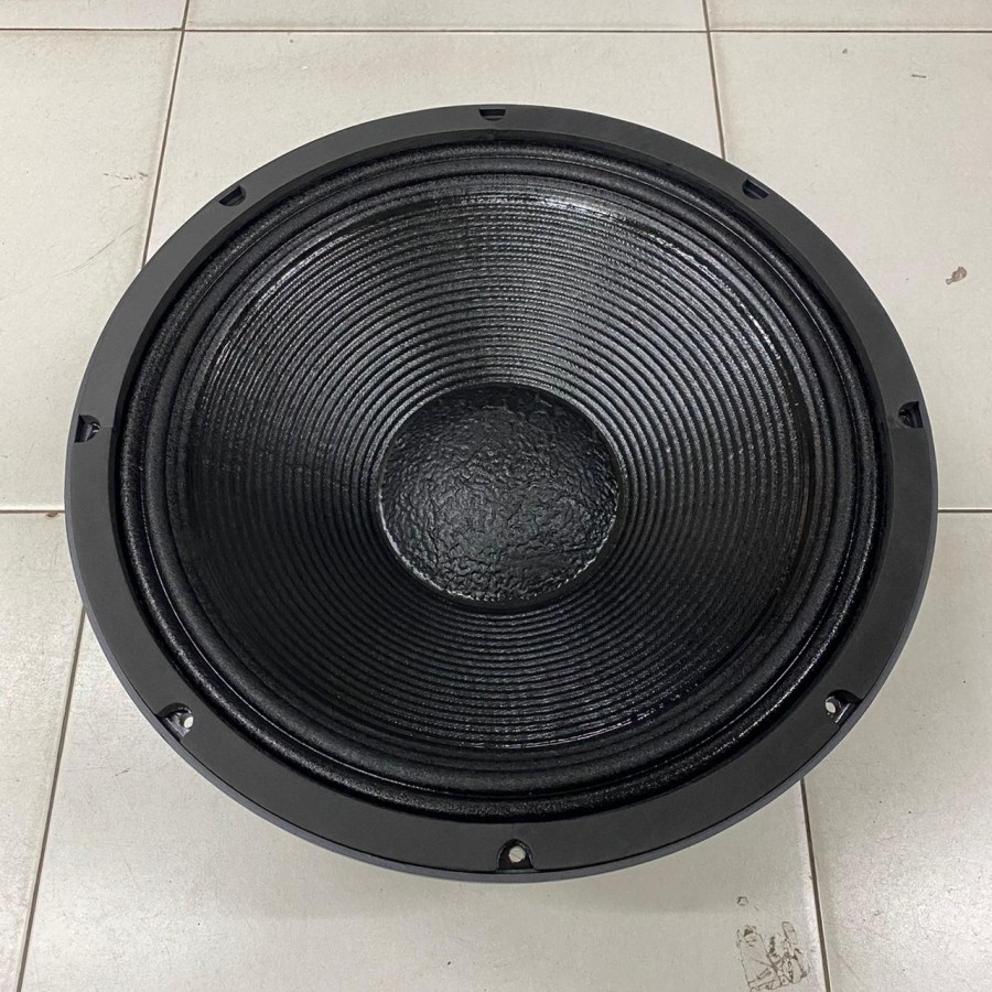 Speaker Komponen RDW 18LS66