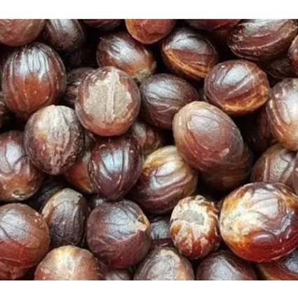 

Buah pala kering tua utuh dengan batok