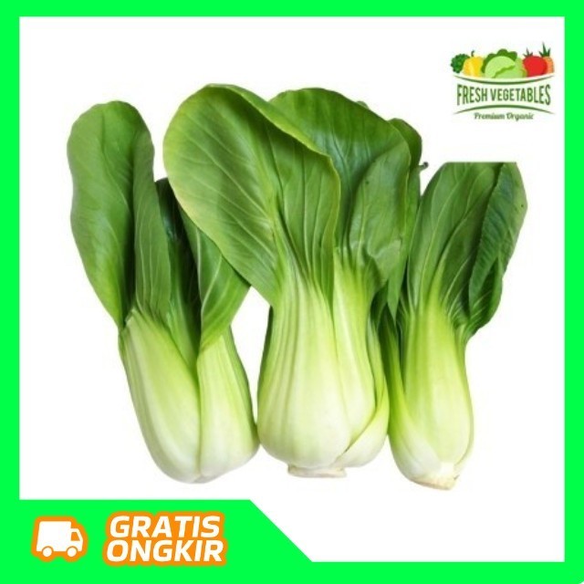 

Sayur Sawi Pakcoy Pokcoy Segar - BUMI99 #sayursegar #sayurterdekat #sayurbekasi #sayurtermurah