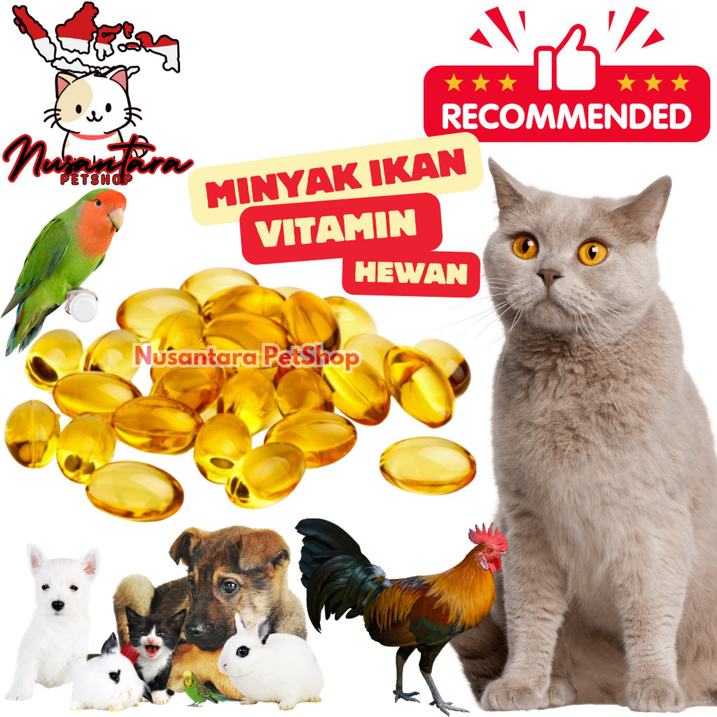 Nusantara PetShop Minyak Ikan 100 Butir Vitamin Kucing Anjing Musang Kelinci Hamster Burung Ayam Dan
