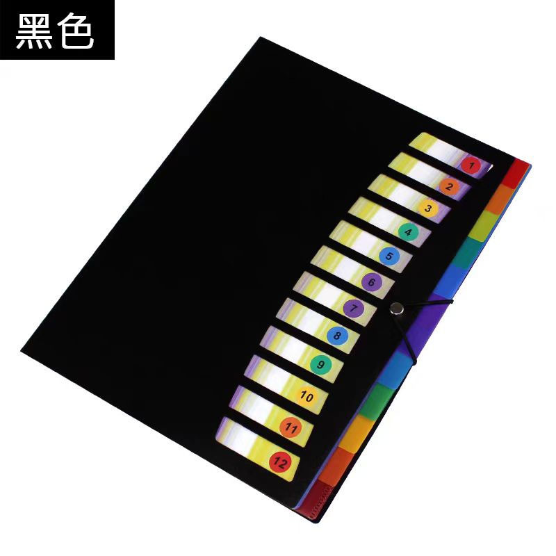 

A4 Folder Large Capacity 12 Layers Colors File Organizer Manager Storage Simple Folder for Student School and Office Stationery