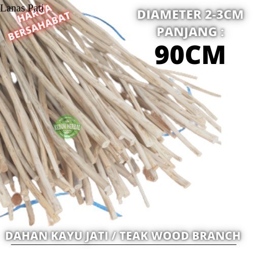 

Pb - Ranting Kayu Jati Macrame 9 Cm Teak Wood Nch Bahan Craft Backdrop XD5