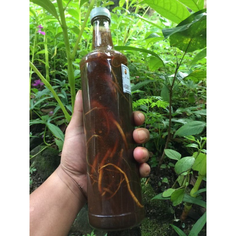 

korean ginseng honey - Anugrah Megah